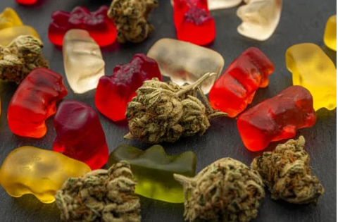 gummy bears and cannabis hemp buds